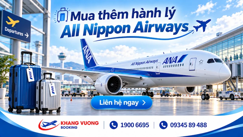 Phí mua thêm hành lý ký gửi All Nippon Airways