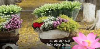 VNA KM Tuần vàng Onlines san vé khứ hồi bay quốc tế