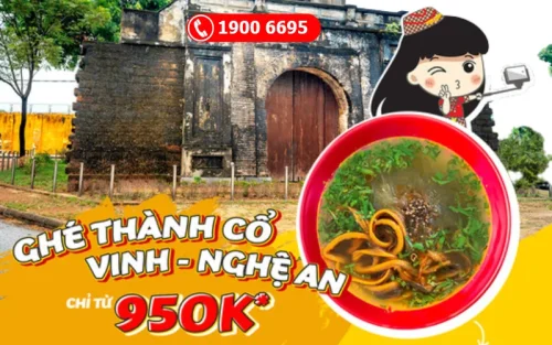 Săn vé máy bay Tết đi Vinh giá rẻ từ Vietjet Air