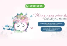 Bamboo Airways ưu đãi 13% giá vé bay mừng ngày 8-3