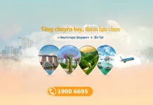 Vietnam Airlines tăng tần suất bay Singapore giá ưu đãi