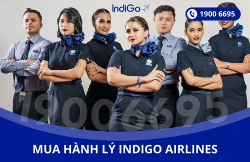 Mua thêm hành lý Indigo Airlines