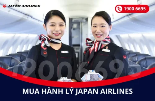 Mua thêm hành lý Japan Airlines