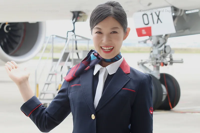Tại sao nên mua vé máy bay Japan Airlines đi Chicago