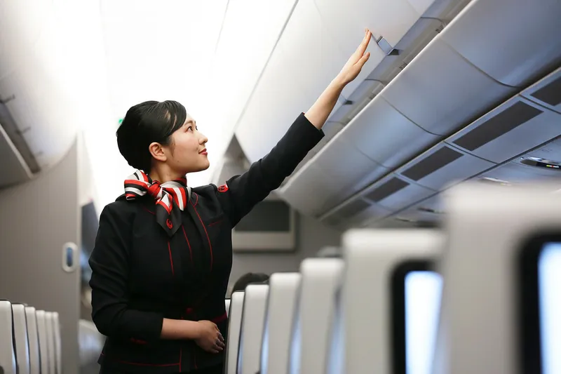 Tại sao nên mua vé máy bay Japan Airlines đi Seattle