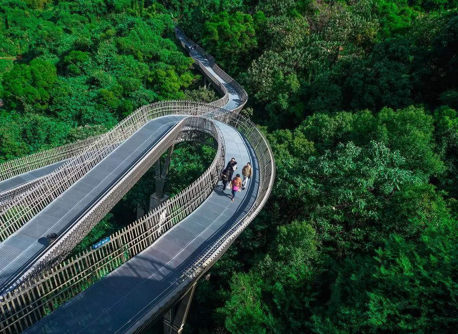 Cầu đi bộ trên không Fudao
