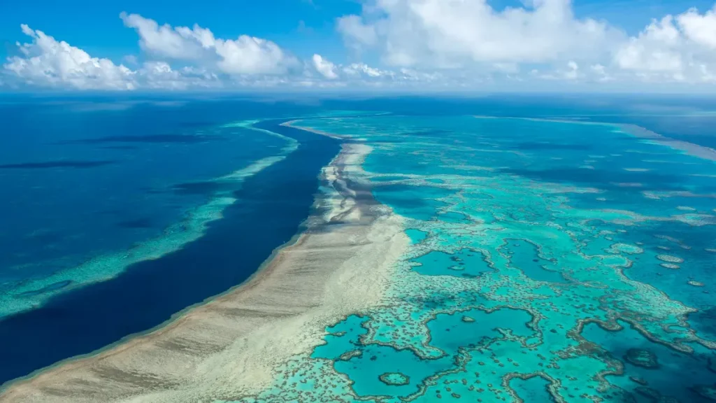 Rạn san hô Great Barrier nổi tiếng ở Úc