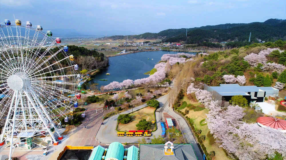 Thời điểm đẹp nhất để ghé thăm Gwangju
