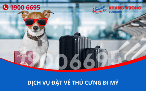 Dịch vụ đặt vé máy bay cho chó mèo đi Mỹ