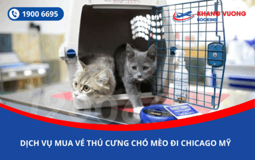 Dịch vụ đặt vé máy bay cho thú cưng chó mèo đi Chicago Mỹ