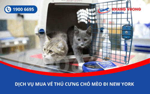 Dịch vụ đặt vé máy bay cho thú cưng chó mèo đi New York Mỹ