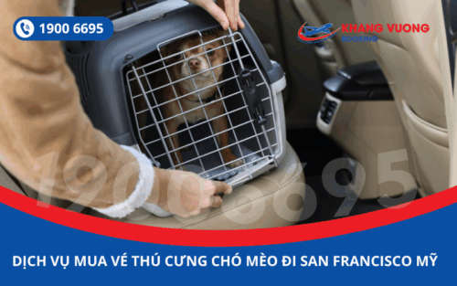 Dịch vụ đặt vé máy bay cho thú cưng chó mèo đi San Francisco Mỹ