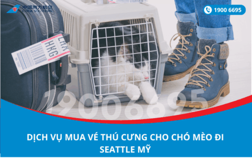 Dịch vụ đặt vé máy bay cho thú cưng chó mèo đi Seattle Mỹ