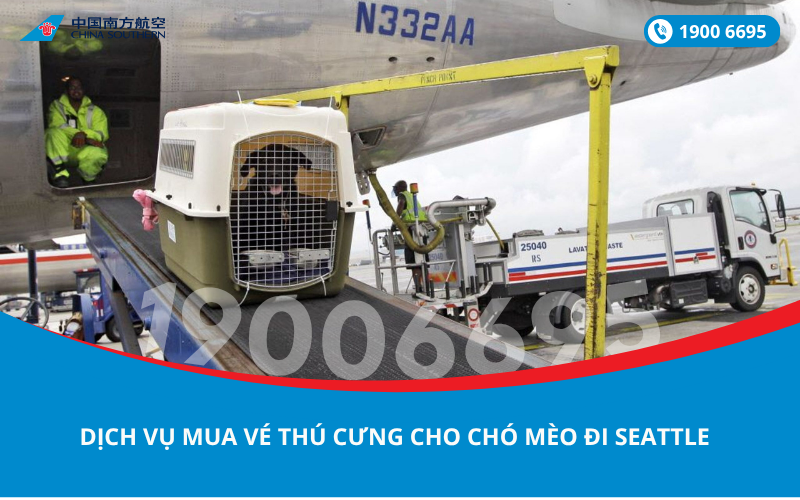 Dịch vụ đặt vé máy bay cho thú cưng chó mèo đi Seattle Mỹ