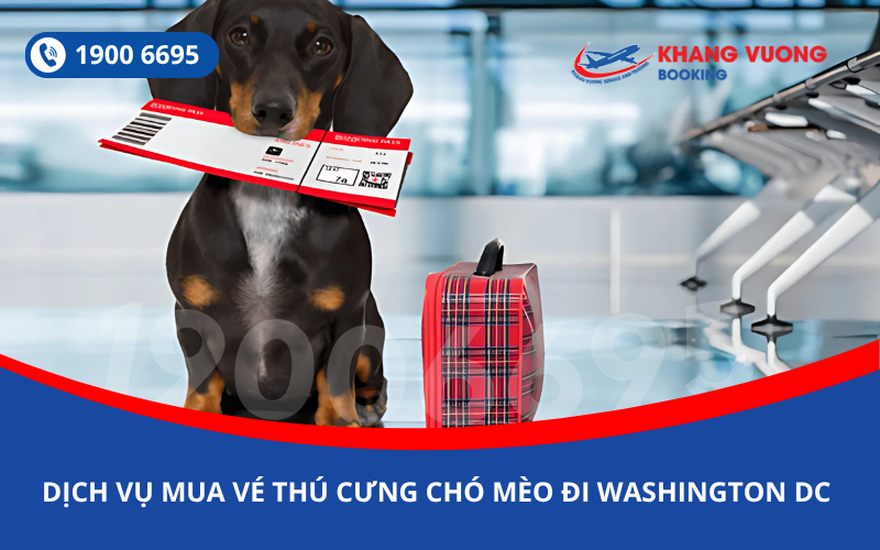 Dịch vụ đặt vé máy bay cho thú cưng chó mèo đi Washington DC Mỹ