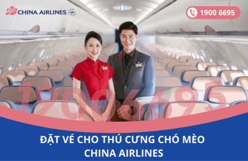 Dịch vụ đặt vé máy bay cho thú cưng chó mèo hãng China Airilnes