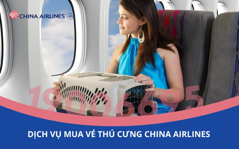 Dịch vụ mua vé thú cưng chó, mèo China Airlines