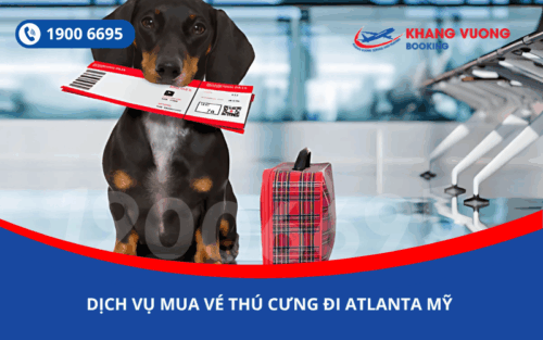 Dịch vụ đặt vé máy bay China Eastern cho thú cưng chó mèo đi Atlanta Mỹ