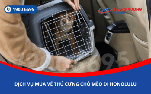 Dịch vụ đặt vé máy bay cho thú cưng chó mèo đi Honolulu Mỹ