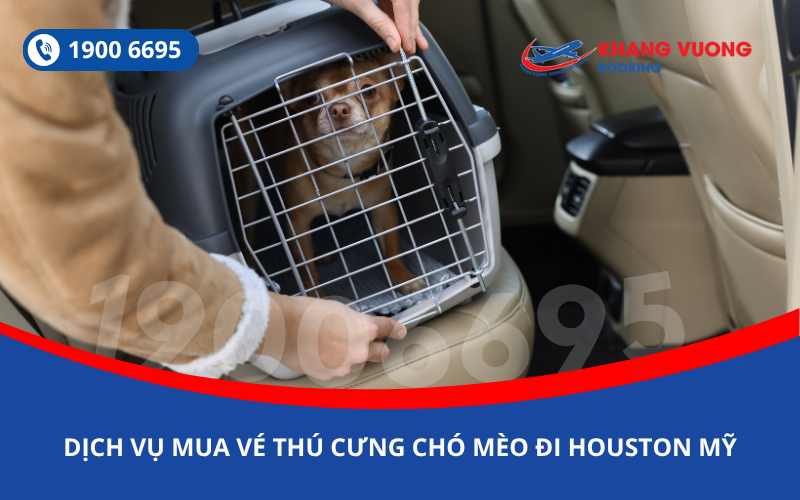Dịch vụ đặt vé máy bay cho thú cưng chó mèo đi Houston Mỹ