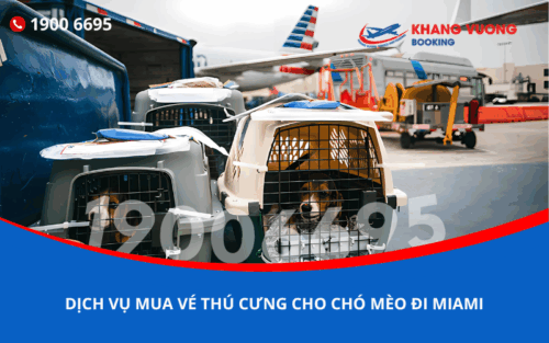 Dịch vụ đặt vé máy bay cho thú cưng chó mèo đi Miami Mỹ