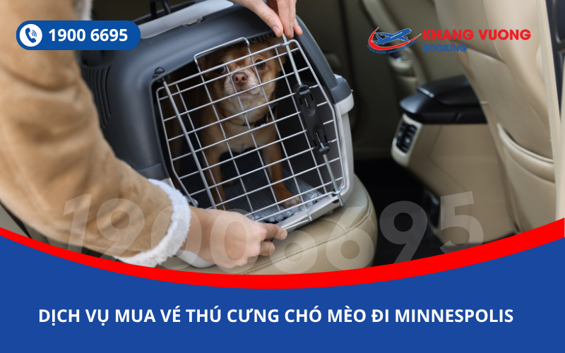 Dịch vụ đặt vé máy bay cho thú cưng chó mèo đi Minneapolis