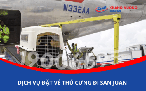 Dịch vụ đặt vé máy bay cho thú cưng chó mèo đi San Juan Puerto Rico Mỹ