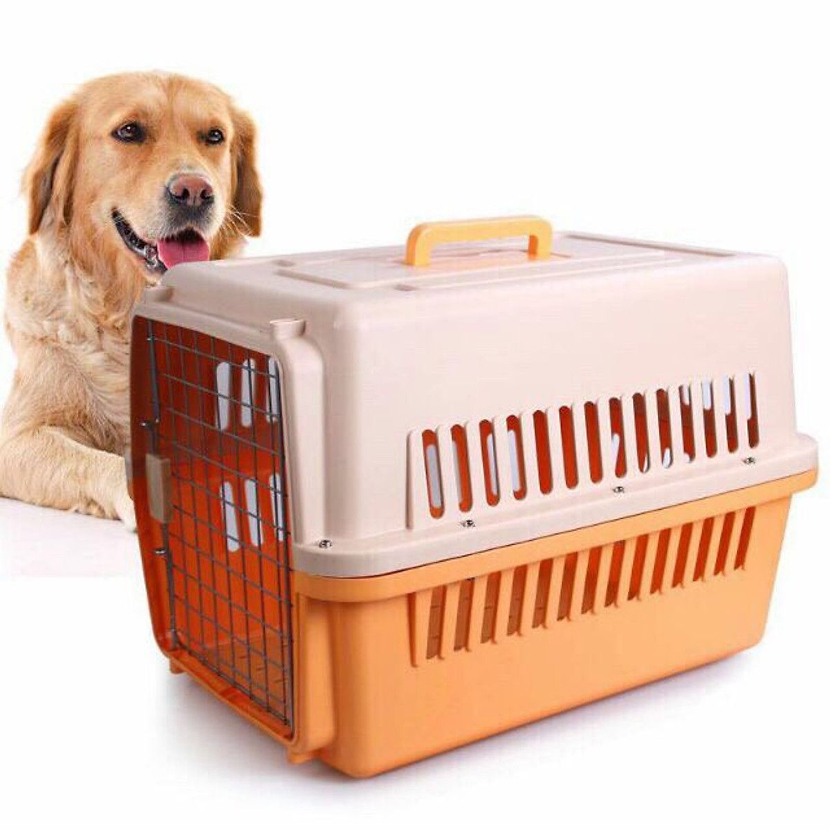 Lồng vận chuyển chó mèo đi máy bay