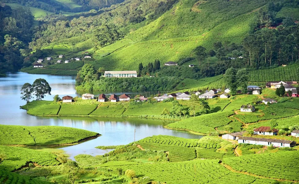 Munnar - Được mệnh danh là Thụy Sĩ của Nam Ấn